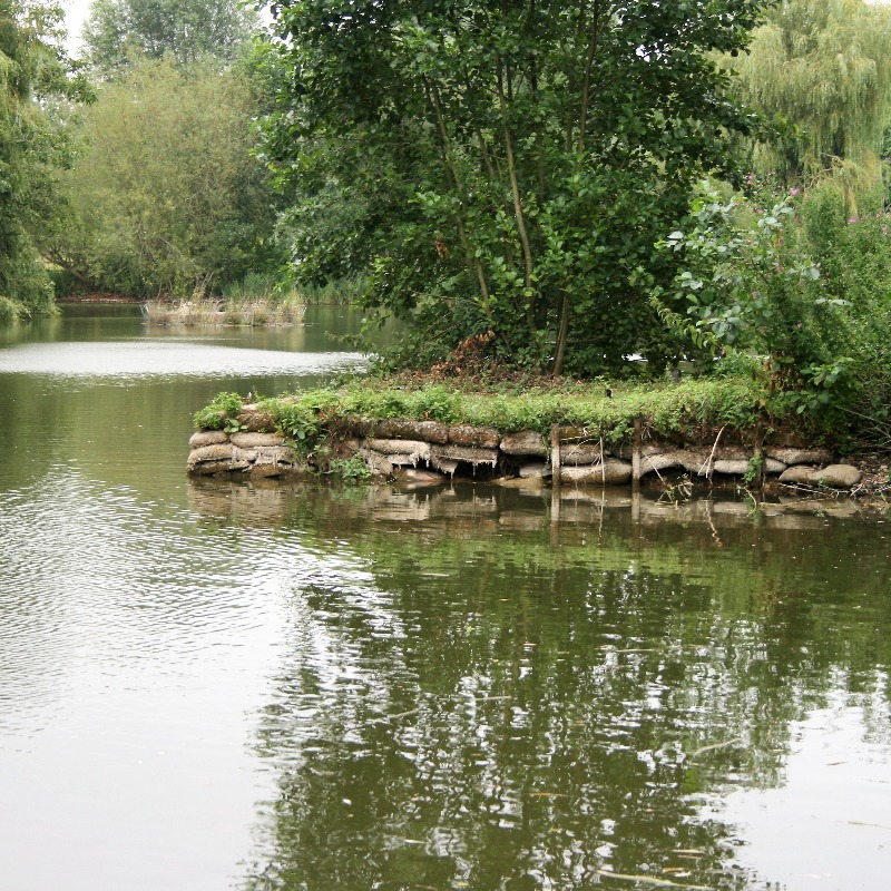 Fishery Foxcotte lake Hampshire